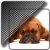 Slune�n� clony Privacy Shades