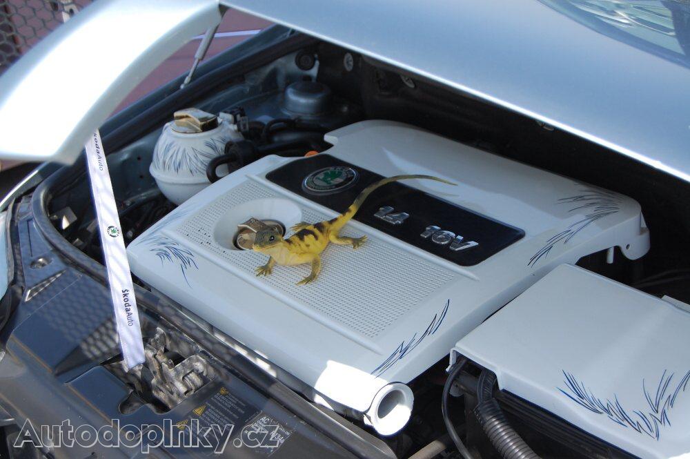Zobrazit detail obr�zku -