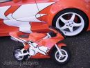 Zobrazit detail obr�zku - Zobrazit detail obr�zku -