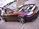Zobrazit detail obr�zku - Zobrazit detail obr�zku -