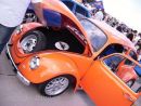 Zobrazit detail obr�zku - Zobrazit detail obr�zku -