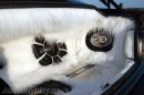 Zobrazit detail obr�zku - Zobrazit detail obr�zku -
