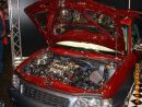 Zobrazit detail obr�zku - Zobrazit detail obr�zku -