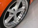 Zobrazit detail obr�zku - Zobrazit detail obr�zku -