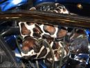 Zobrazit detail obr�zku - Zobrazit detail obr�zku -