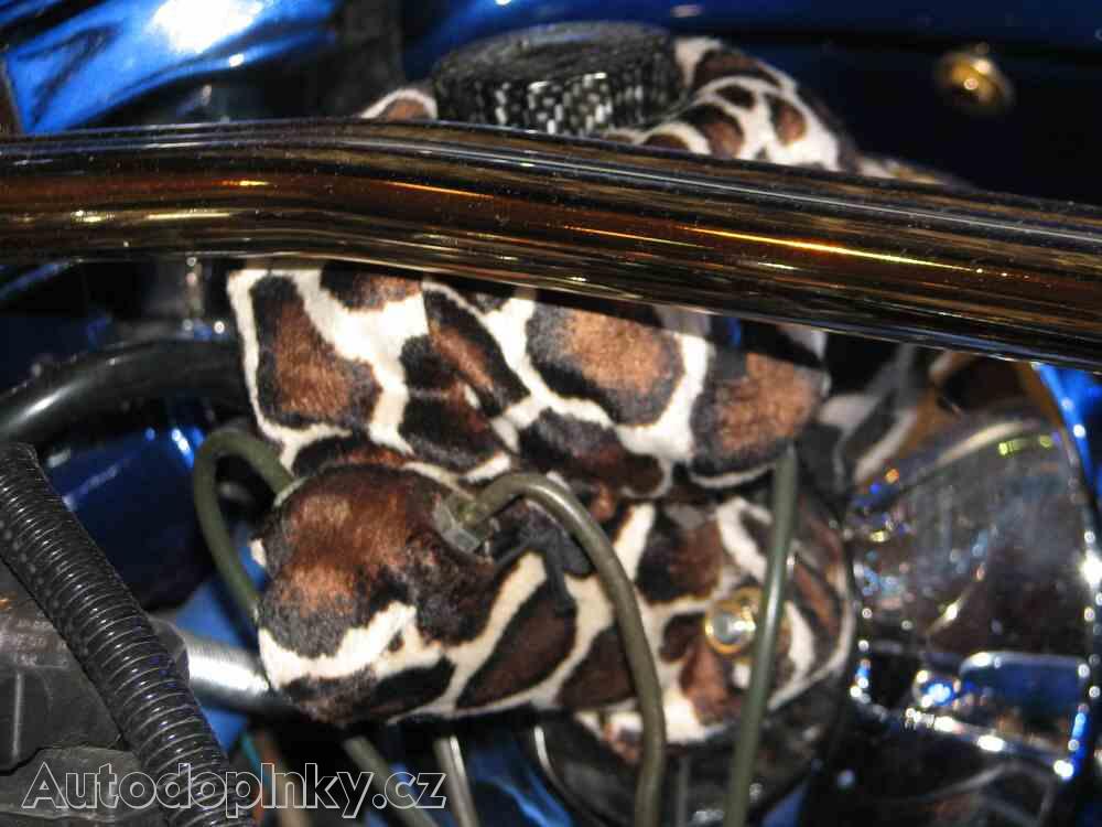 Zobrazit detail obr�zku -