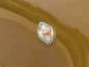 Zobrazit detail obr�zku - Zobrazit detail obr�zku -