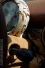 Zobrazit detail obr�zku - Zobrazit detail obr�zku -