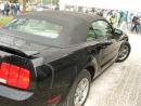 Zobrazit detail obr�zku - Zobrazit detail obr�zku -