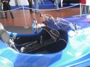 Zobrazit detail obr�zku - Zobrazit detail obr�zku -