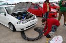 Zobrazit detail obr�zku - Zobrazit detail obr�zku -