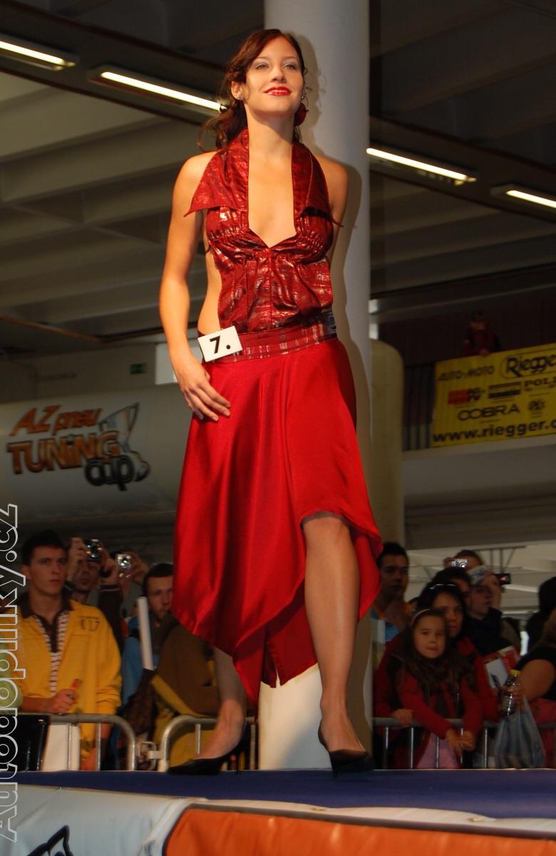 Zobrazit detail obr�zku -