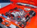 Zobrazit detail obr�zku - Zobrazit detail obr�zku -