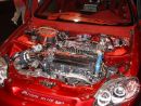 Zobrazit detail obr�zku - Zobrazit detail obr�zku -
