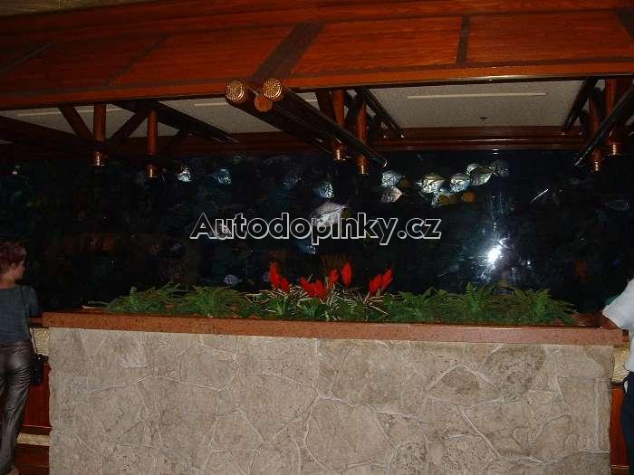 Zobrazit detail obr�zku -