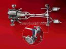 Zobrazit detail obr�zku - Zobrazit detail obr�zku -