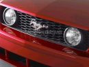 Zobrazit detail obr�zku - Zobrazit detail obr�zku -