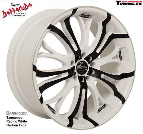 hlinikovy elektron disk barracuda tzunamee racing white carbon face