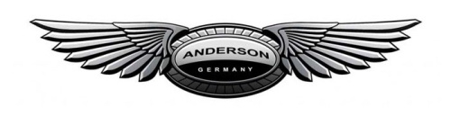 anderson germany logo