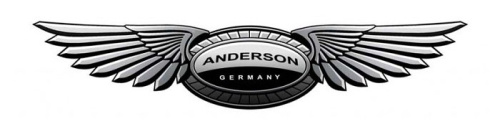 anderson germany logo