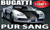 Bugatti EB 16.4 Veyron Pur sang.