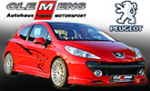Clemens Motorsport Peugeot 206 & 207 � nebezpe�n� divosi !