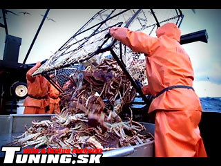 Programov� tipy Discovery Channel