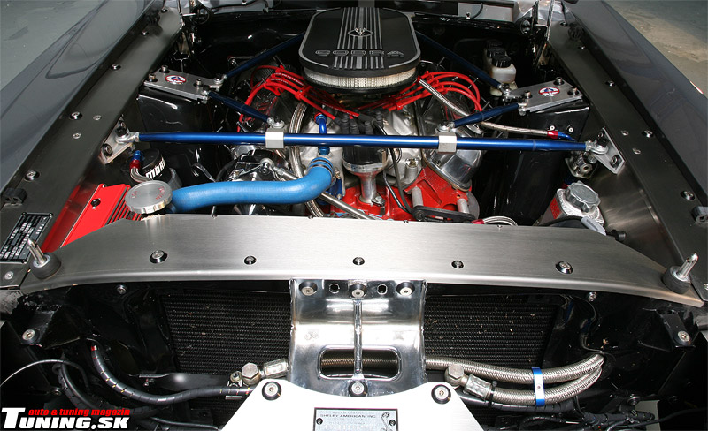 ford shelby gt 500