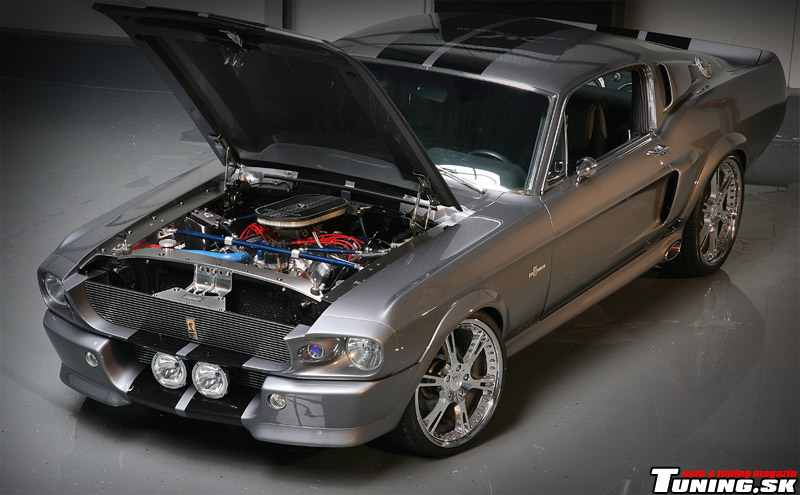 ford shelby gt 500