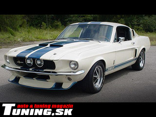 ford shelby gt 500