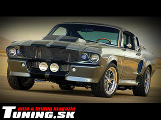 ford shelby gt 500