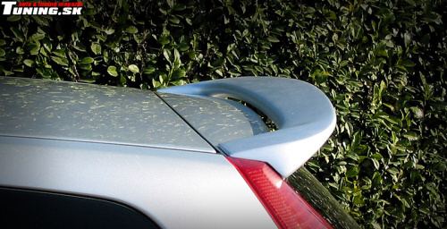 ford fiesta lester tuning
