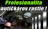 Profesionalita auti�k�rov rastie.