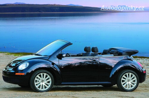 New Beetle slav� deset let