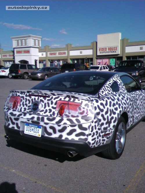 Nov� Mustang zachycen �piony