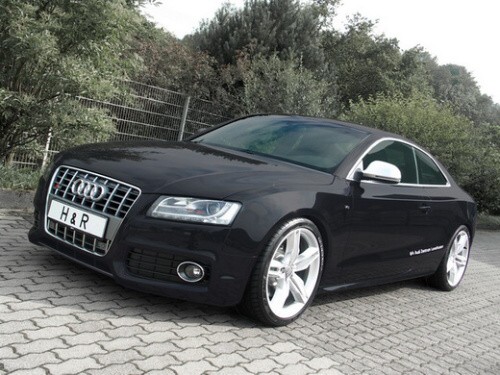 HR pru�iny pro Audi S5