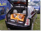 Tuning Mimo�sk� V�lky 2005