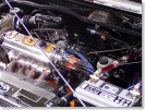 Tuning Mimo�sk� V�lky 2005