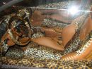 Zobrazit detail obr�zku - 