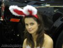 Zobrazit detail obr�zku - 