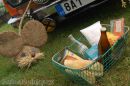 Zobrazit detail obr�zku - 
