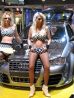 Zobrazit detail obr�zku - 