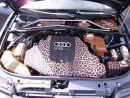 Zobrazit detail obr�zku - 