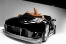 Zobrazit detail obr�zku - 
