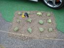 Zobrazit detail obr�zku - 
