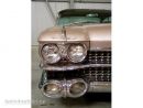 Zobrazit n�hledy sekce: 