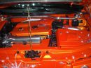 Zobrazit detail obr�zku - 