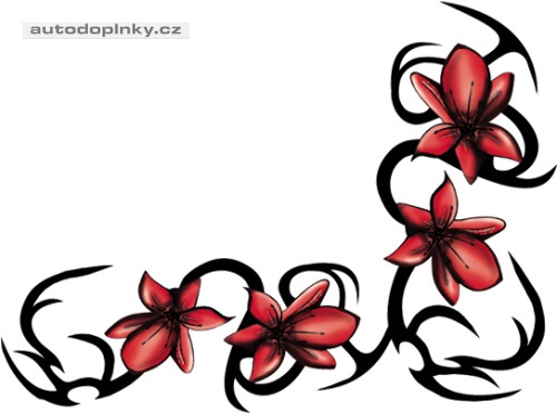 N�lepky Avisa