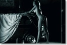Liqui Moly