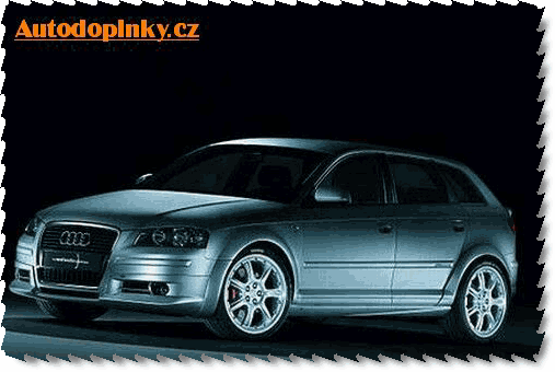 novinky_tuning_foto/06_12_2004_audi/2